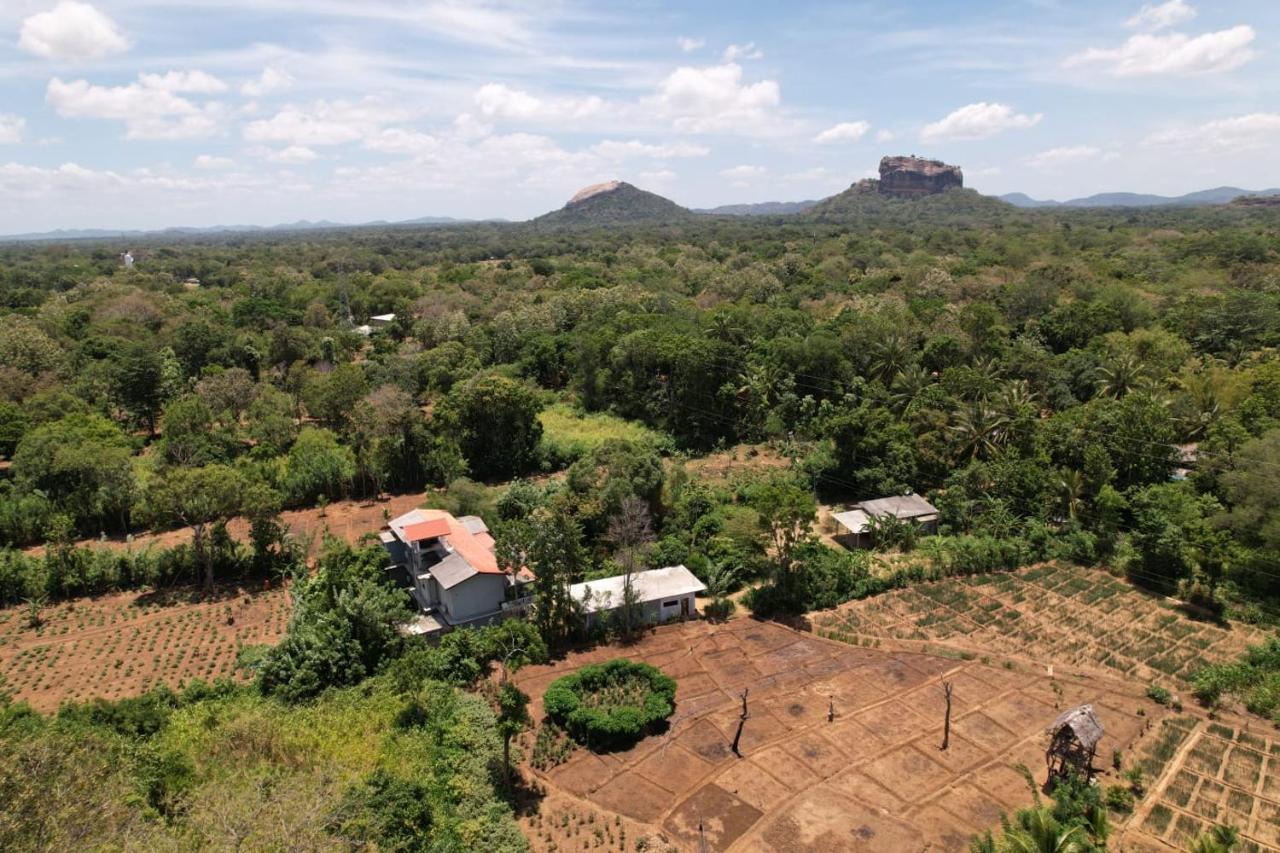 Sigiriya Sun Shine Villa Ngoại thất bức ảnh