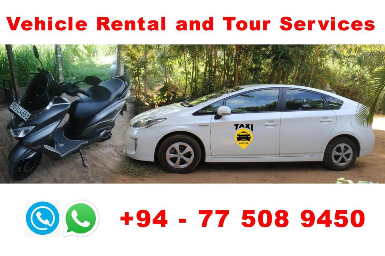 Sigiriya Sun Shine Villa Ngoại thất bức ảnh