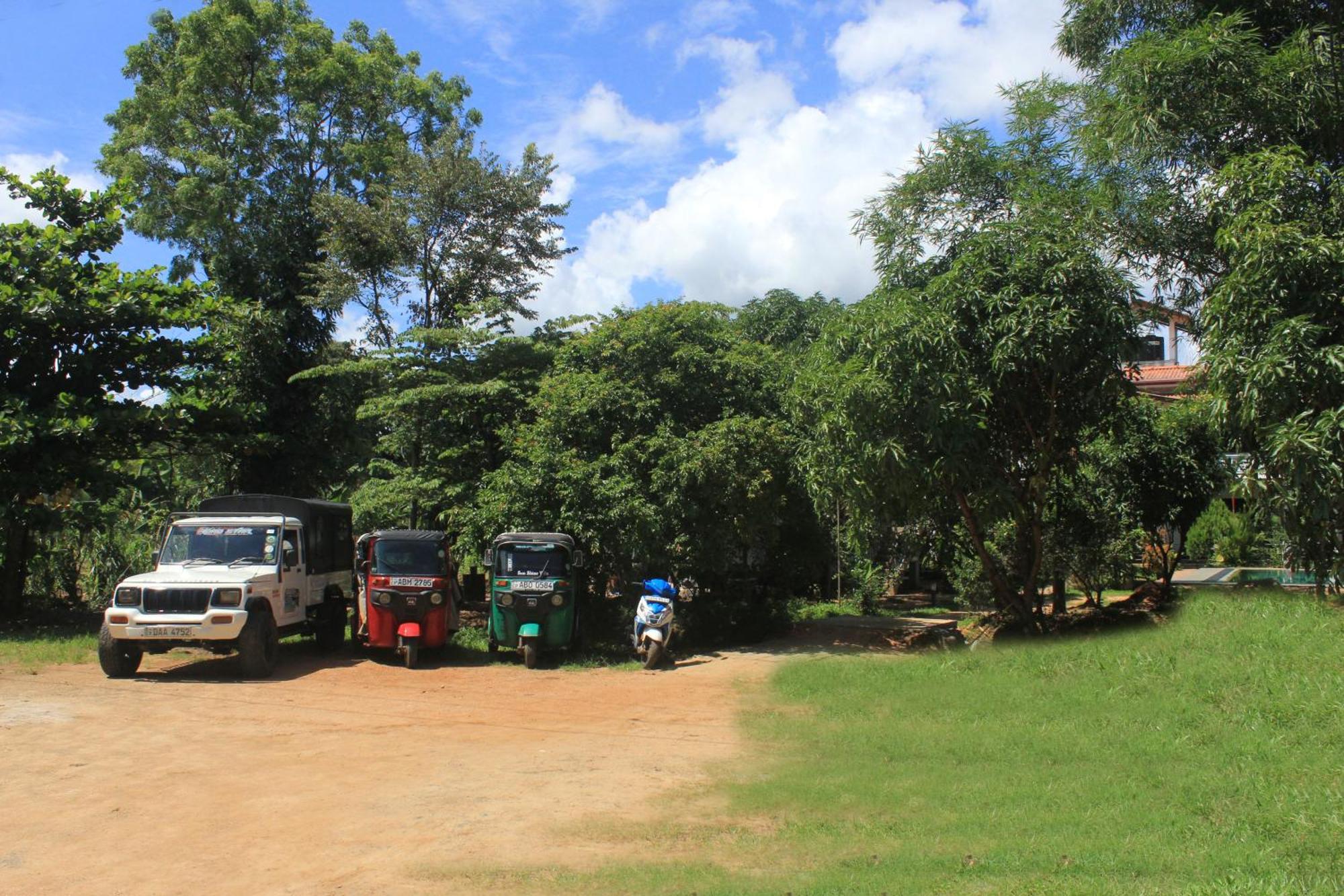 Sigiriya Sun Shine Villa Ngoại thất bức ảnh