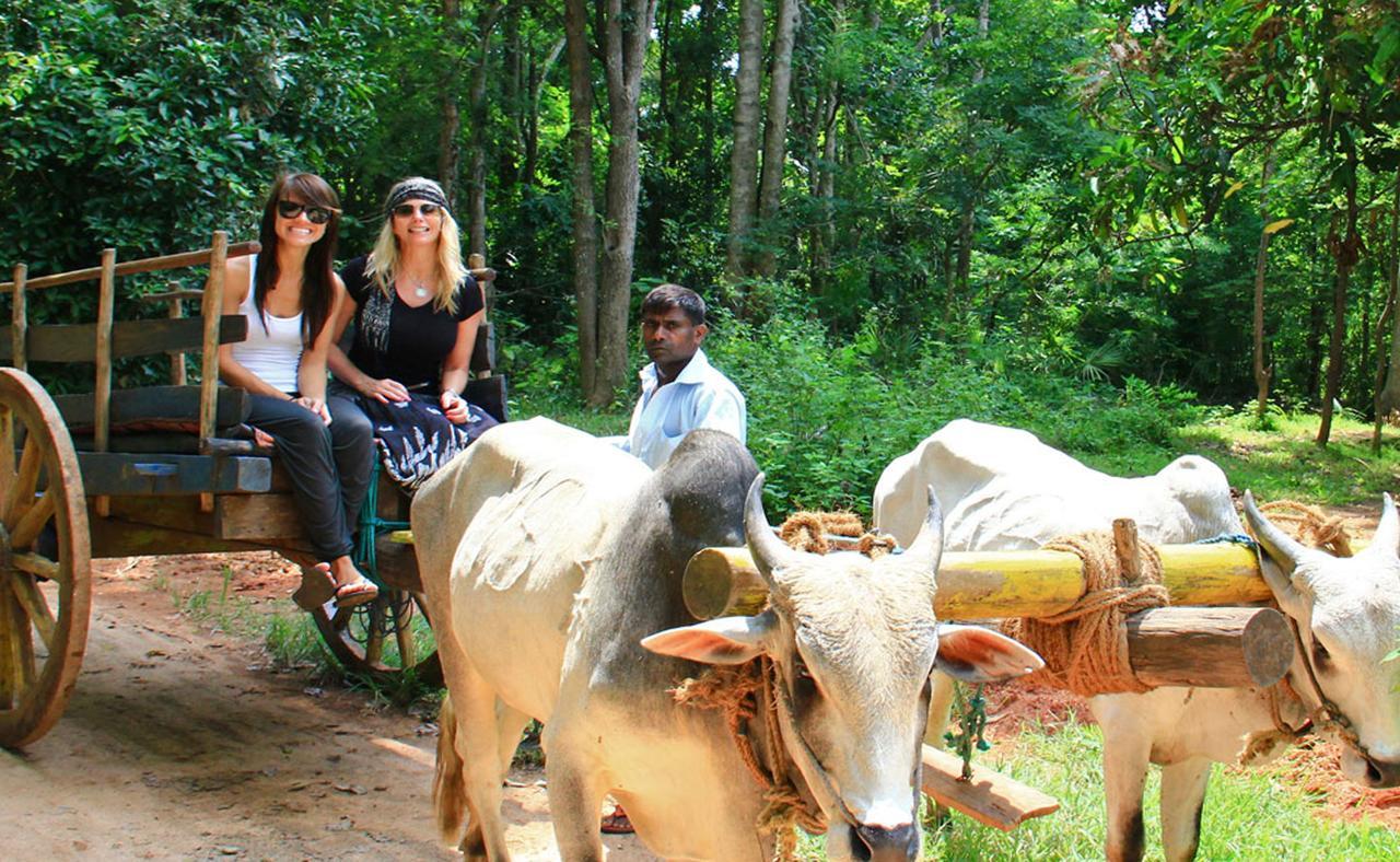 Sigiriya Sun Shine Villa Ngoại thất bức ảnh